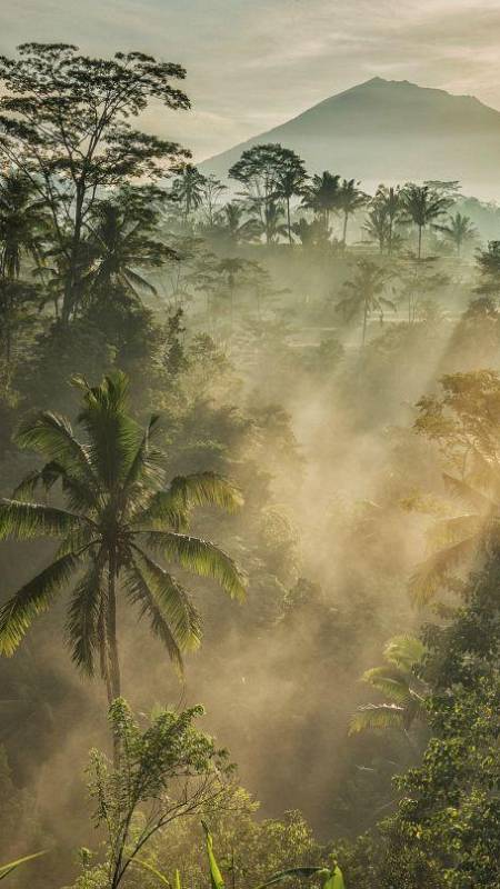 Land-use, forestry, and the ocean